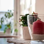 Apartmán Riehle Hof Zell am Harmersbach