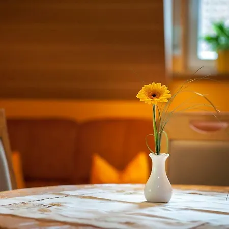 Appartement Riehle Hof Zell am Harmersbach