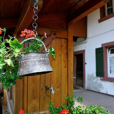 Riehle Hof Appartement Zell am Harmersbach