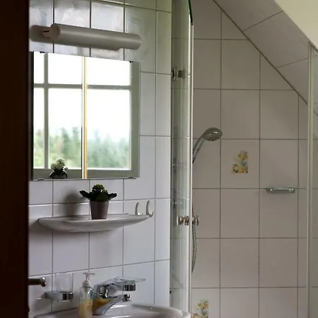 Appartement Riehle Hof Zell am Harmersbach